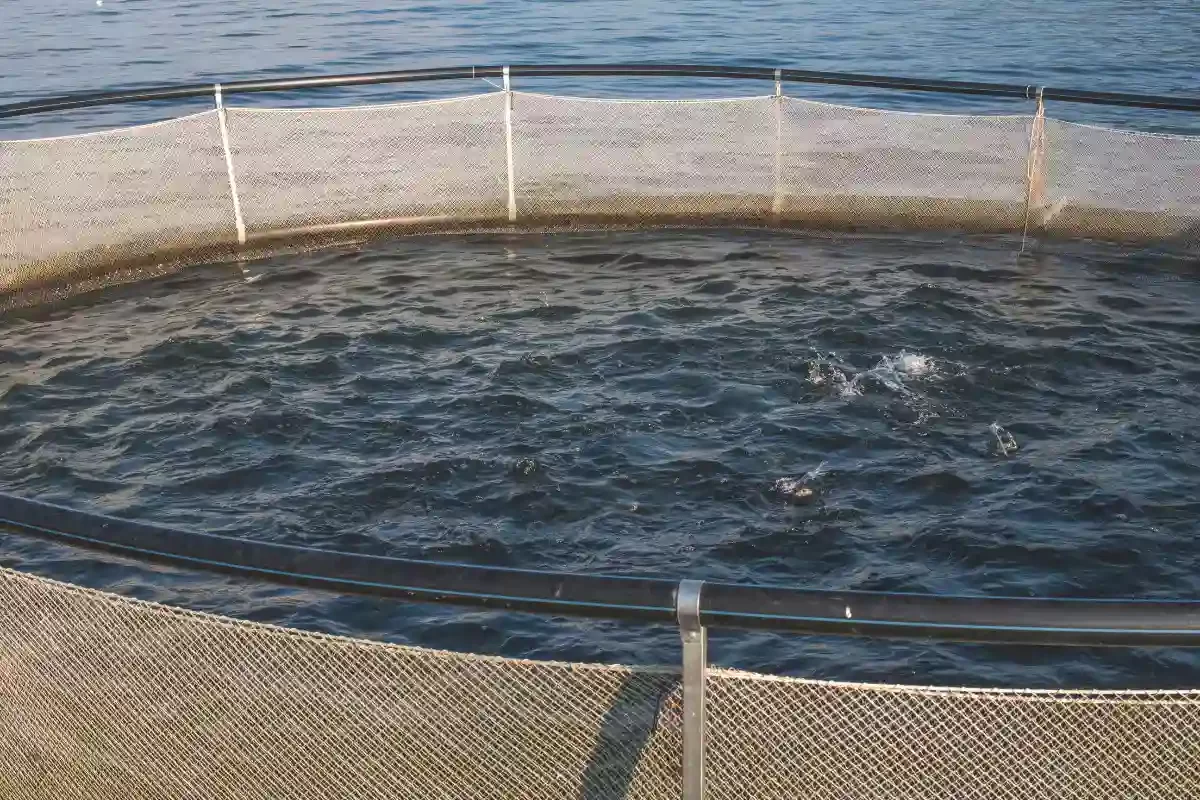 aquaculture technician aquaculture technician
