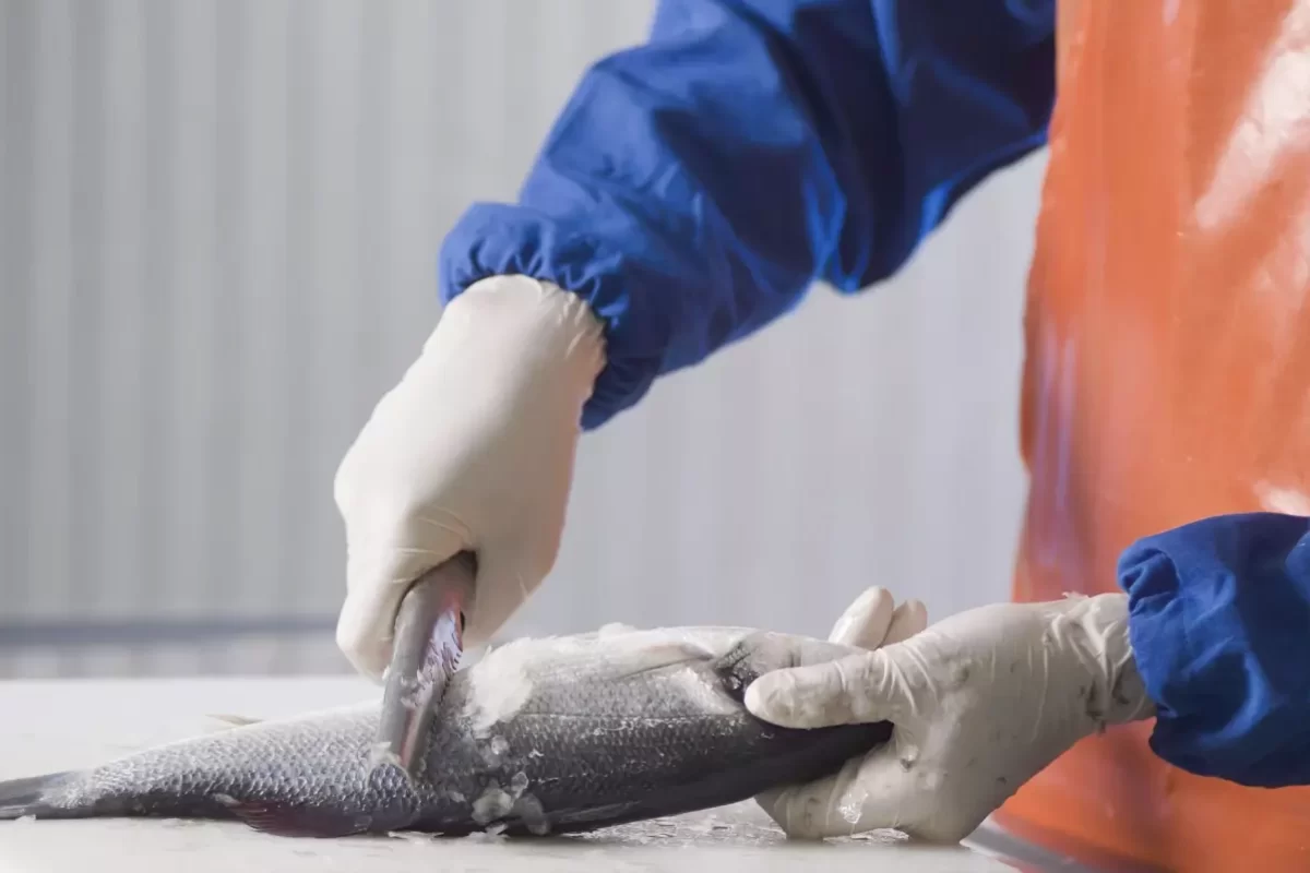 fishcleaning fishcleaning